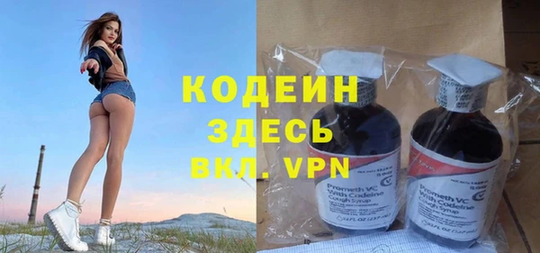 шишки Белоозёрский