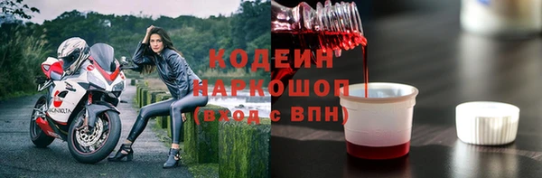 шишки Белоозёрский