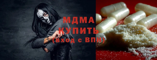 шишки Белоозёрский