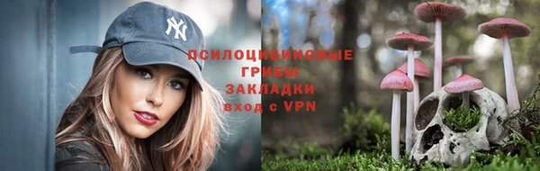 шишки Белоозёрский