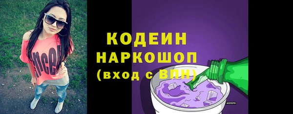 шишки Белоозёрский