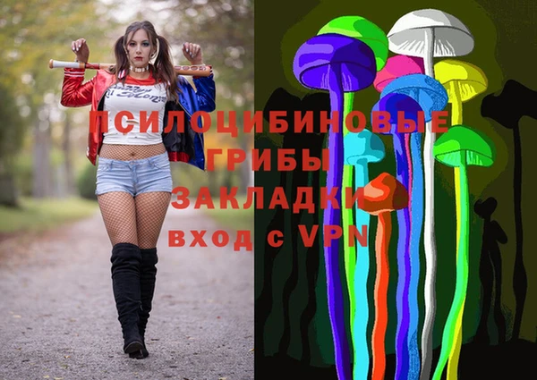шишки Белоозёрский