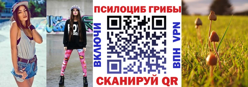 Галлюциногенные грибы Psilocybe  Купить закладки  Волхов 
